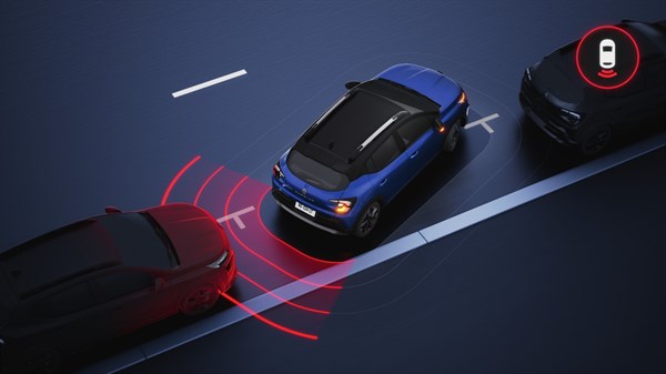 Cruise control - Renault Kardian